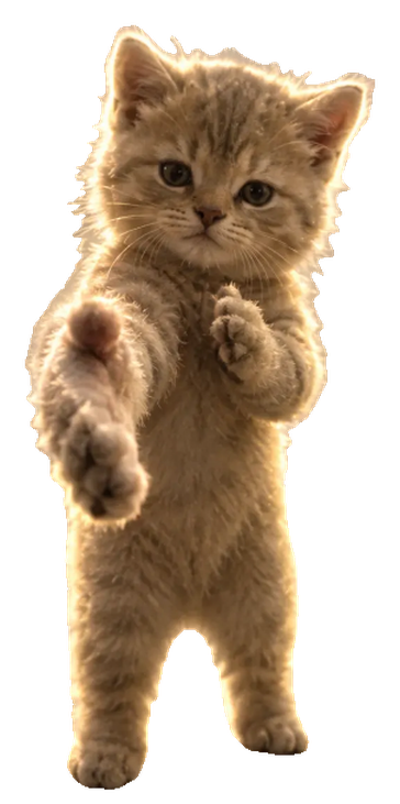 WelcomeCat, a fluffy ginger kitten standing upright with one paw reaching forward in greeting